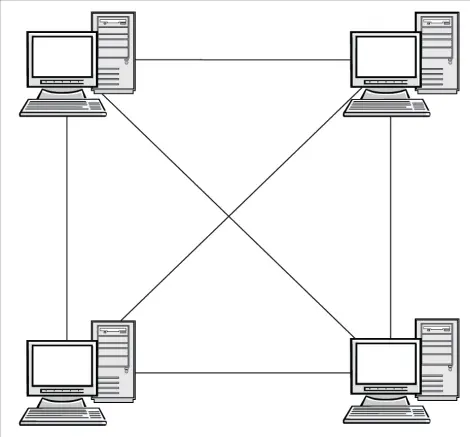 Mesh Network Model